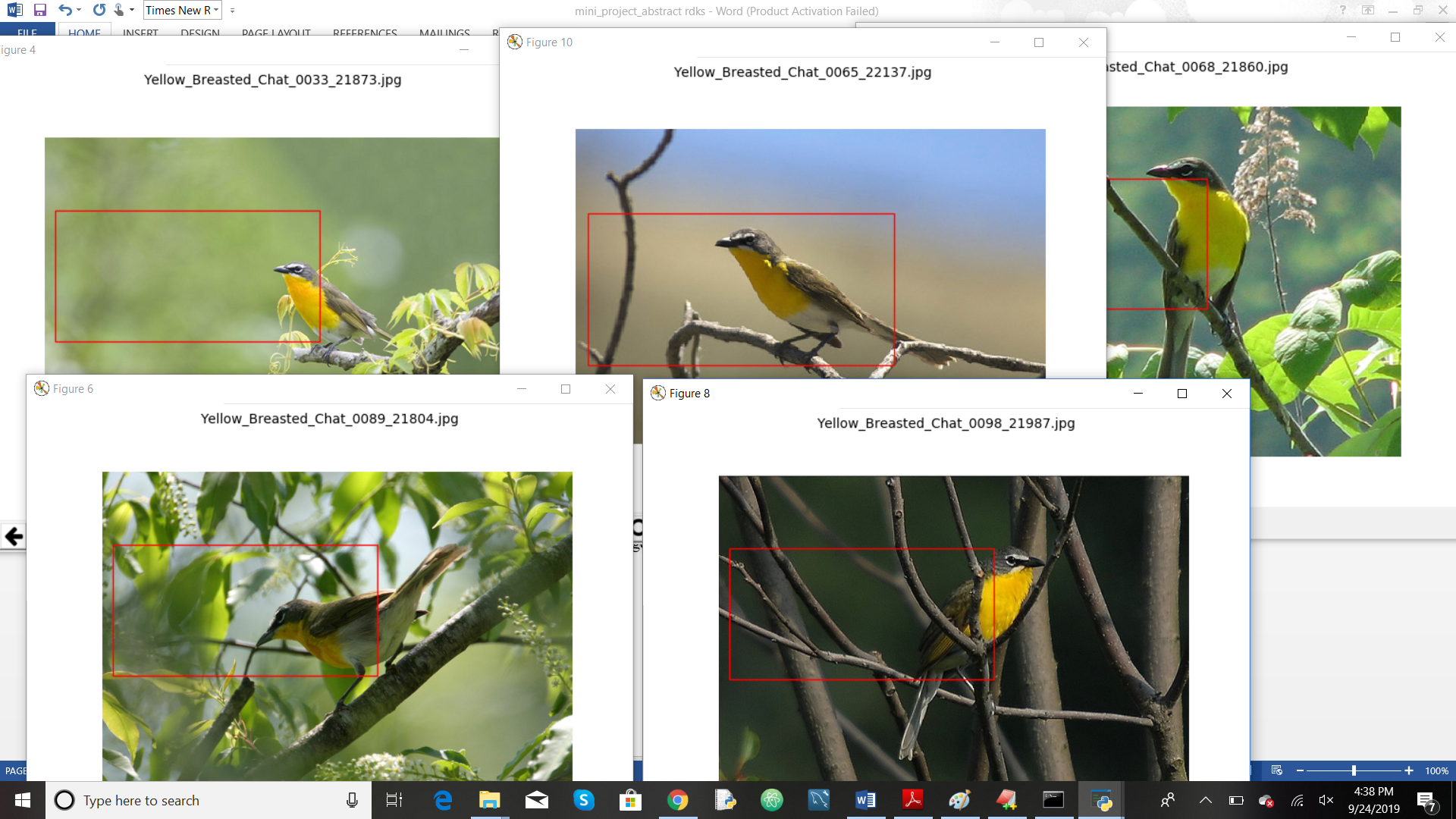 BIRD SPECIES IDENTIFICATION USING DEEP LEARNING